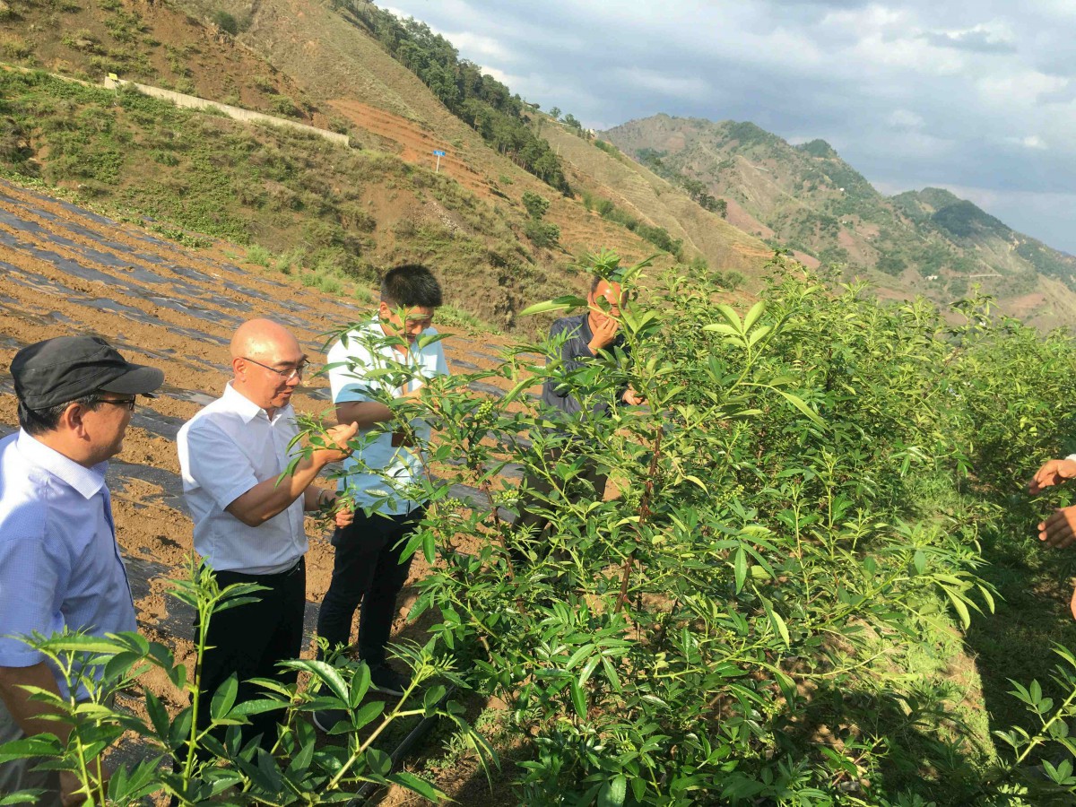 fuaiy24l.jpg fuaiy24l.jpg