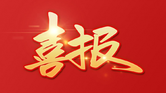 弘典咨詢(xún)?cè)?020年工程造價(jià)咨詢(xún)企業(yè)經(jīng)濟(jì)鑒證類(lèi)咨詢(xún)收入排名中，位于全國(guó)第65名